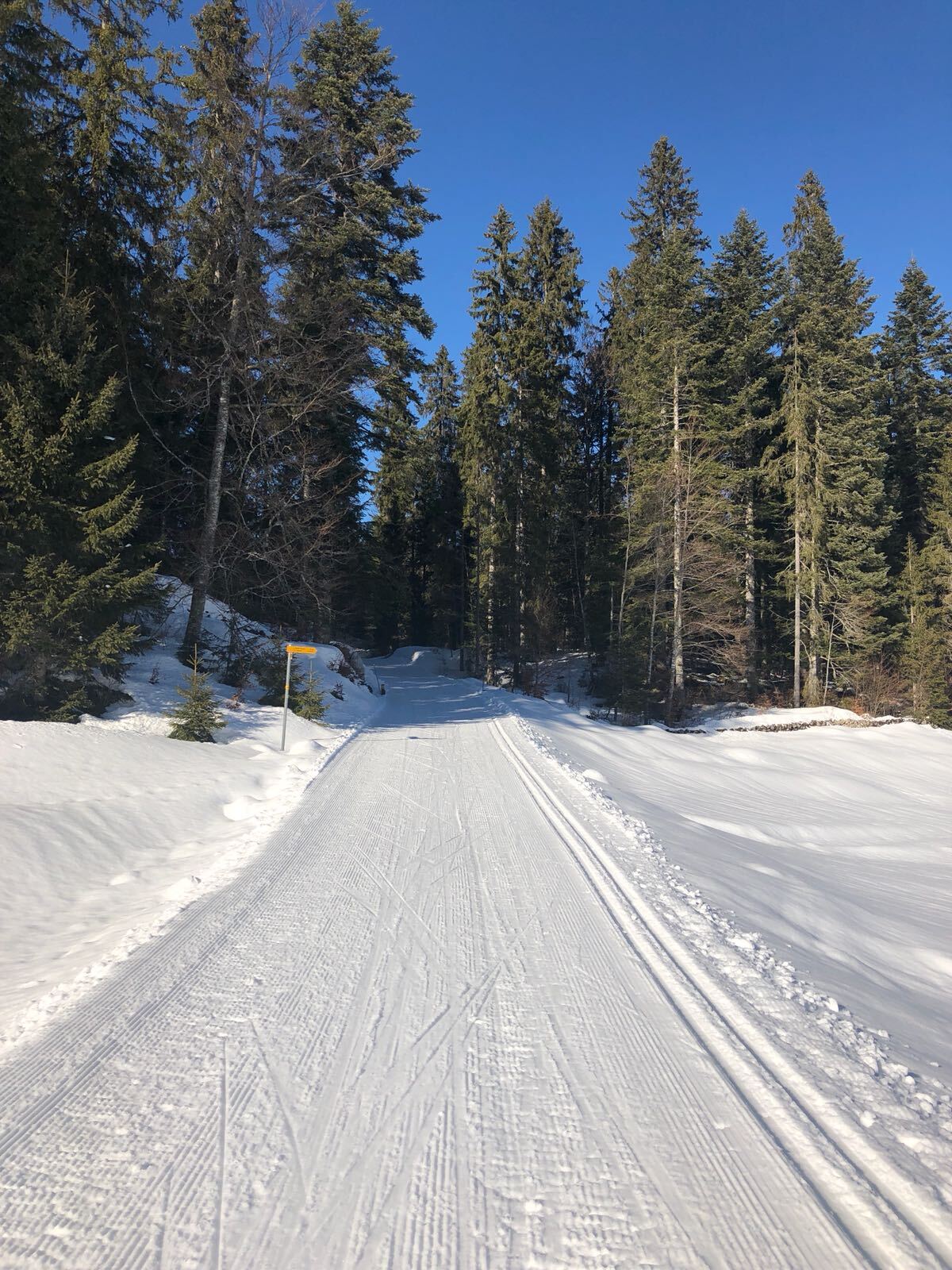 551 Thomassette - Mézery (3)