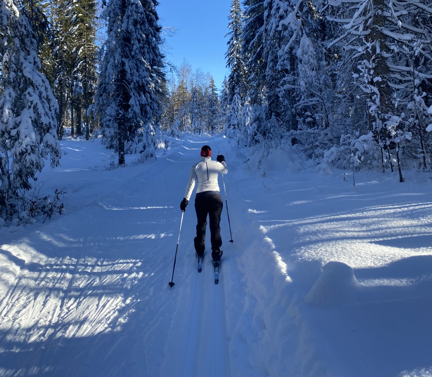 Ski de fond - Les Charbonnières - Poteau