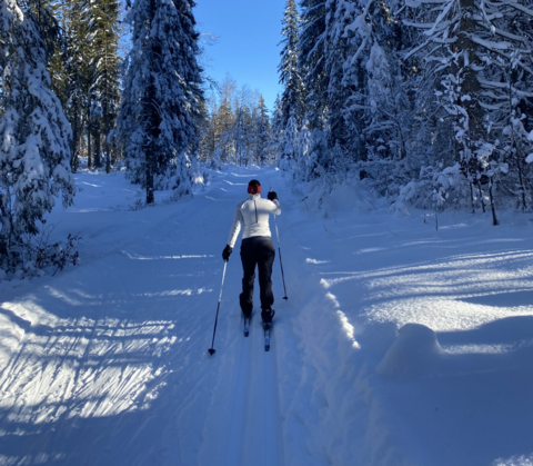 Ski de fond - Les Charbonni&egrave;res - Poteau