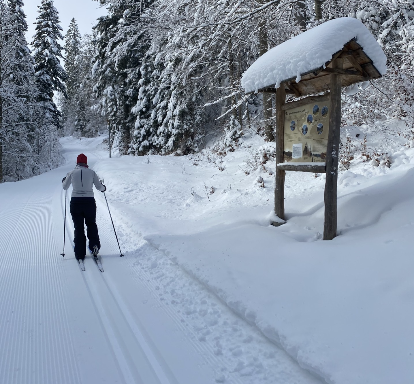 Sentier didactique du bois de résonance du Risoud