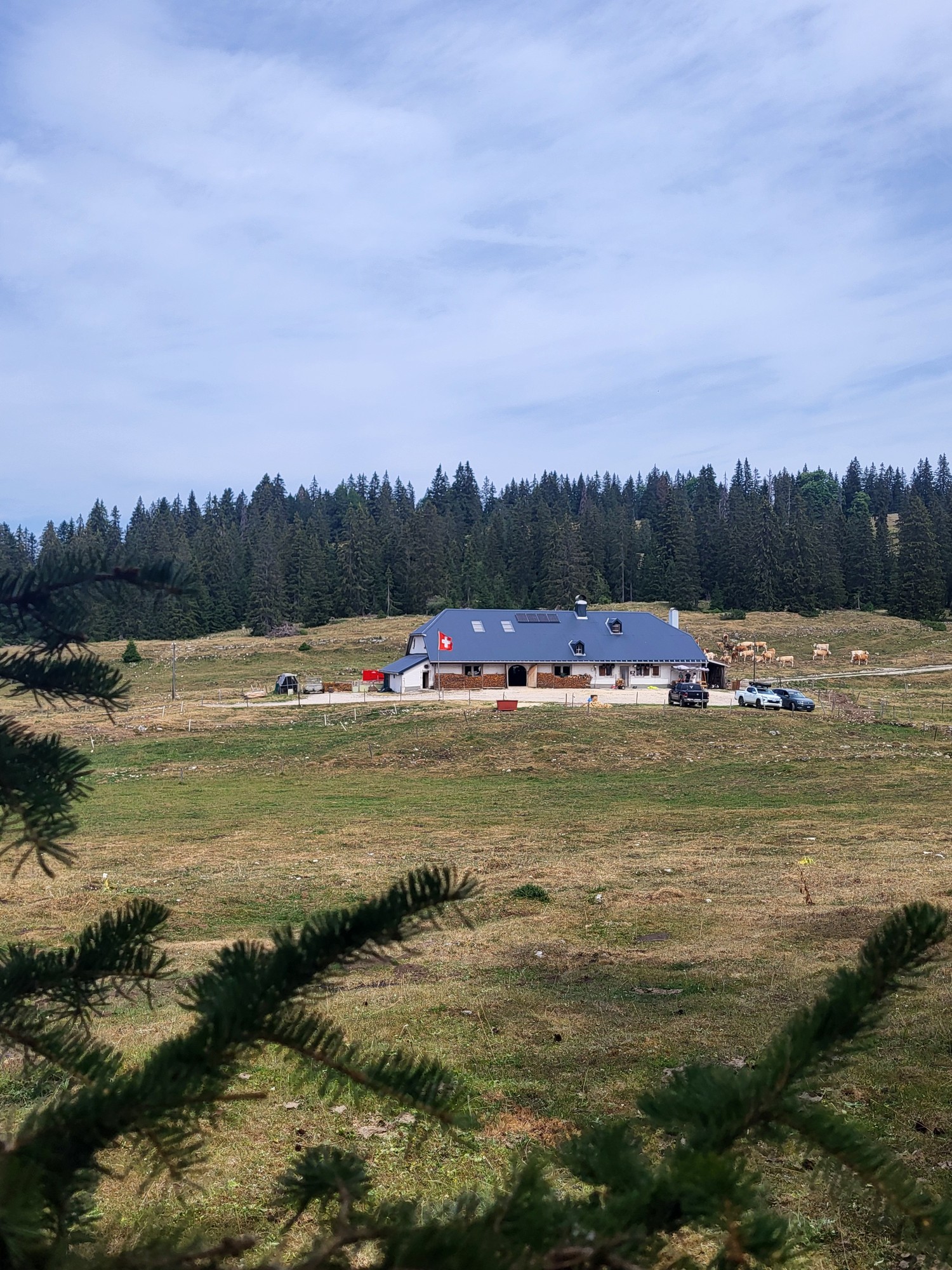 Alpage de la Meylande-Dessus - Chalet.jpg