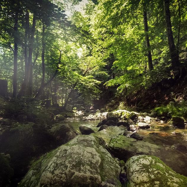 Les Gorges de Covatannaz