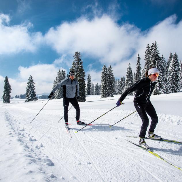 Offer - Cross-country skiing and genuine Gruyère AOP fondue
