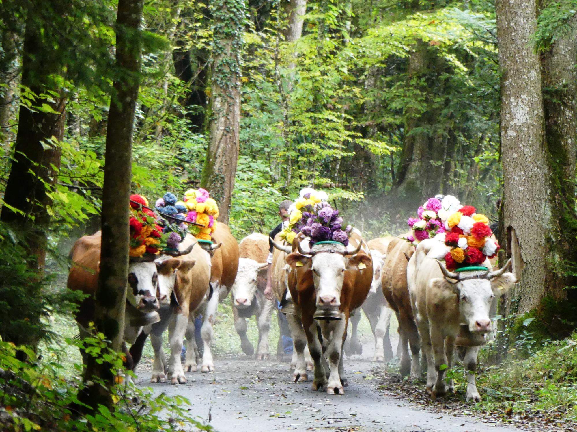 Foire d'automne et bourse aux sonnailles à Romainmôtier