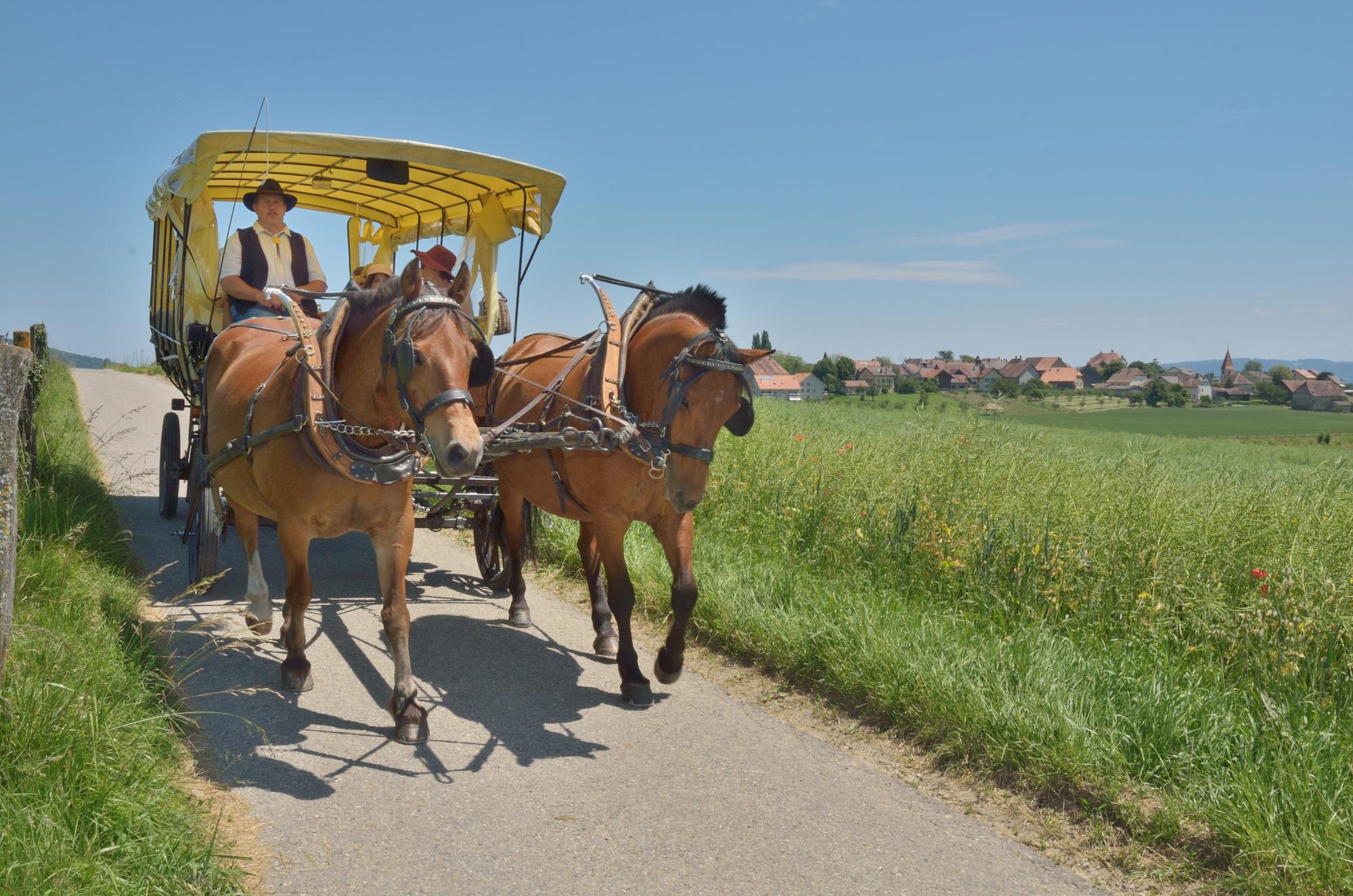 Tour in a horse-drawn carriage