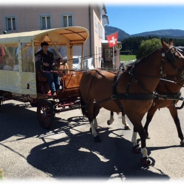 Carriage rides at the Grand'Borne