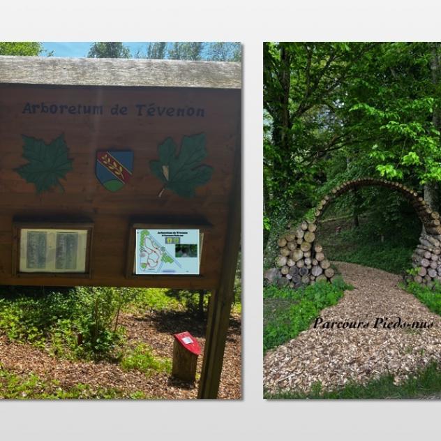 Arboretum de Tévenon et Parcours Pieds-nus