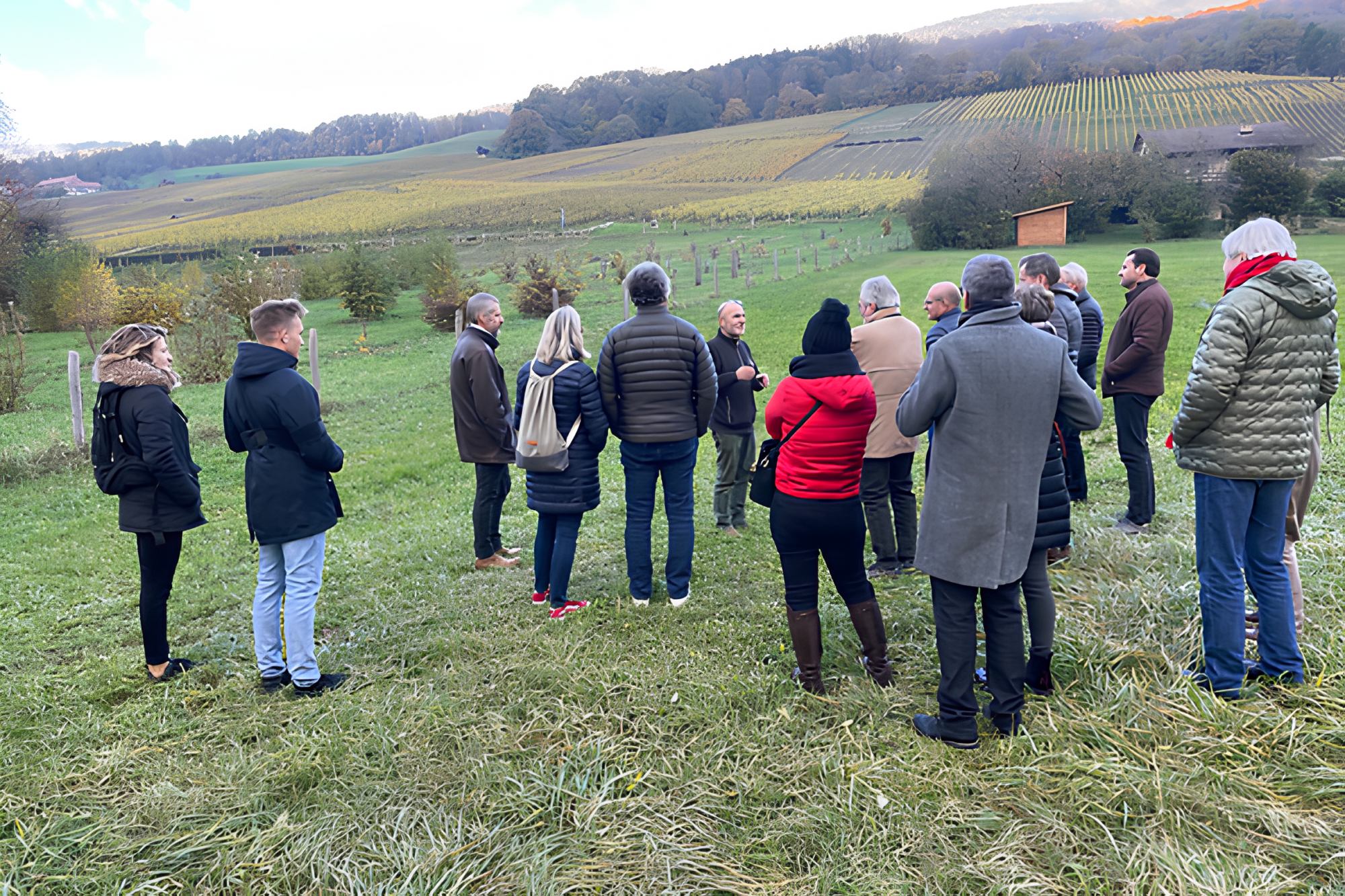 Cours de cavage et cuisine de la truffe