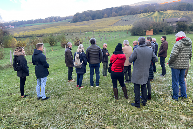 Cours de cavage et cuisine de la truffe