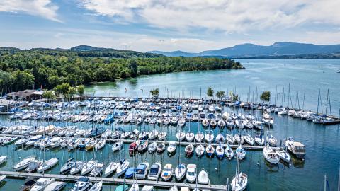 Lac vers Yvonand