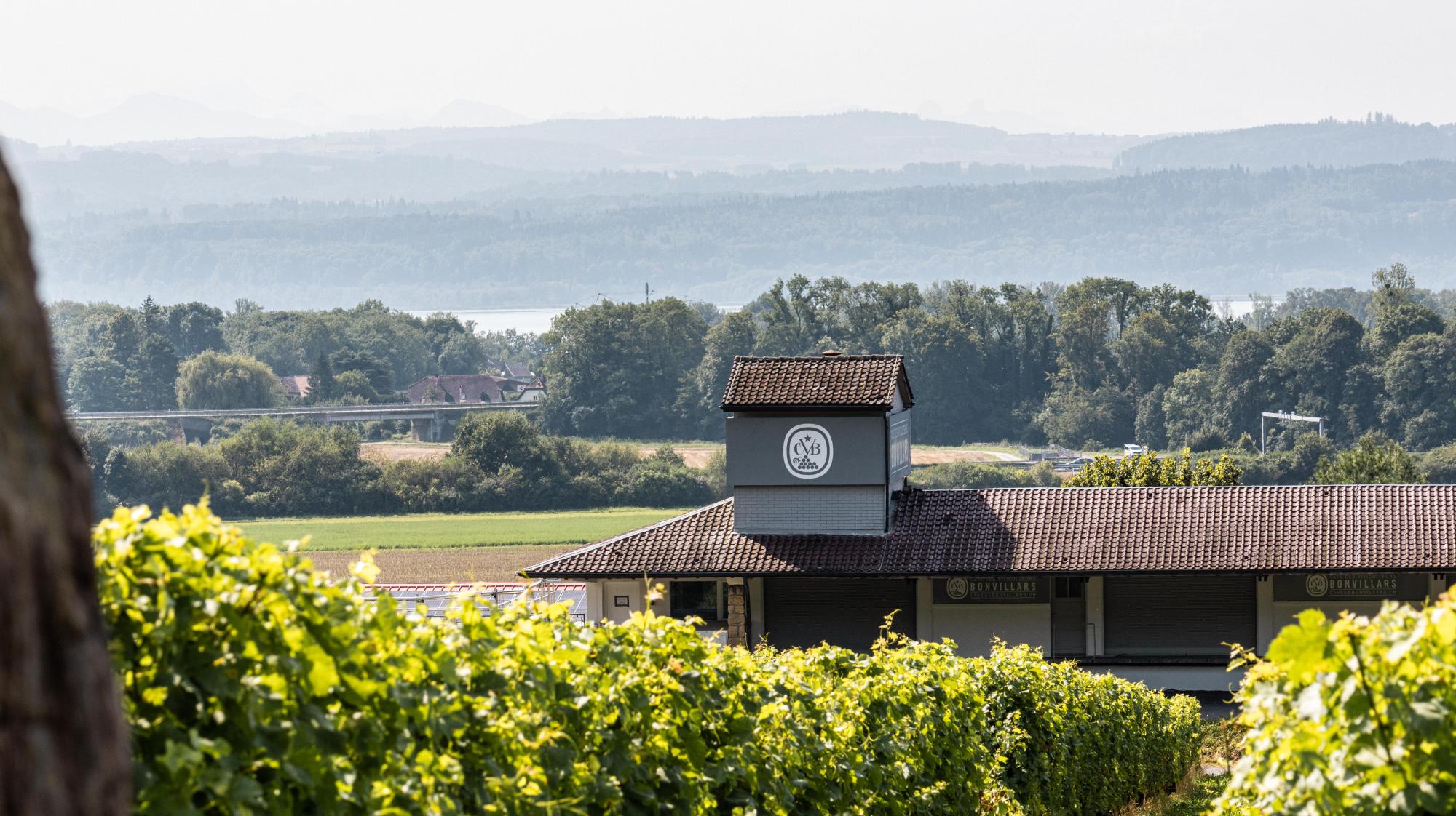 Cave des Viticulteurs de Bonvillars