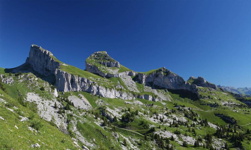 Tour d'Aï, Mayen and Famelon - summer - Leysin