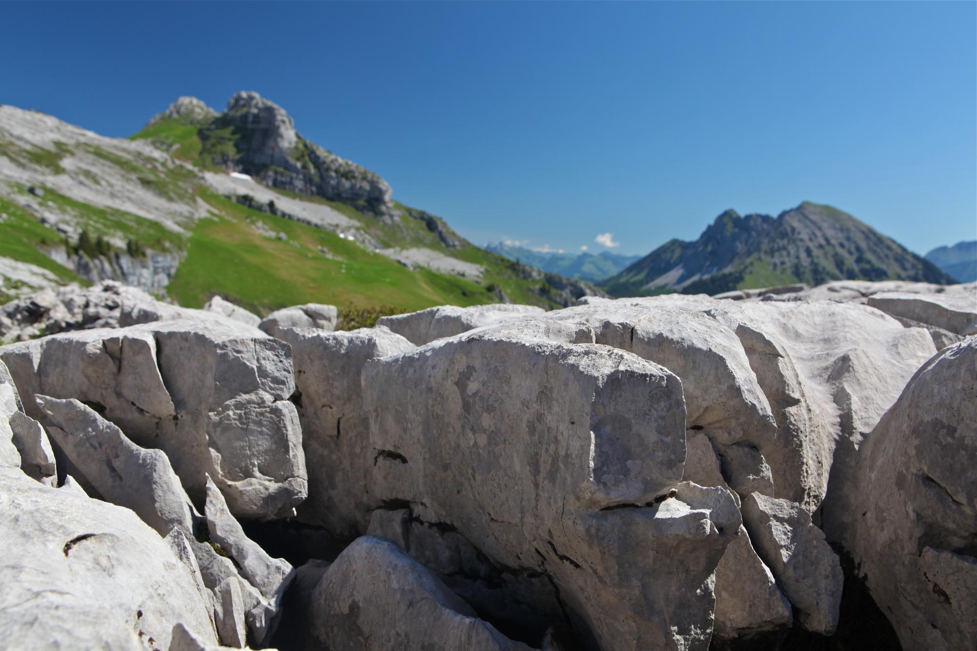 Lapias de Famelon - été - Leysin