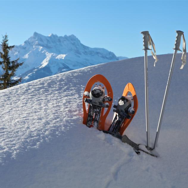 Snow Park And Vallée Blanche