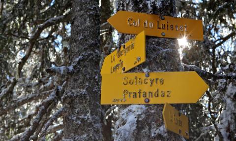 Hiking sign - winter - Les Mosses
