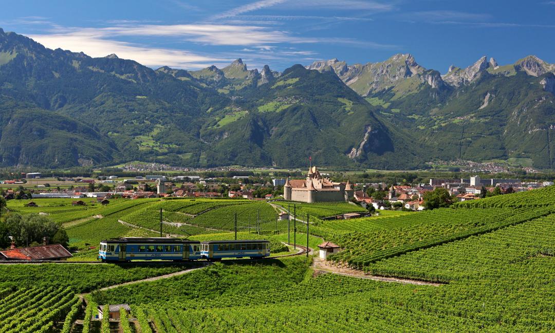 Train ASD - été - Aigle