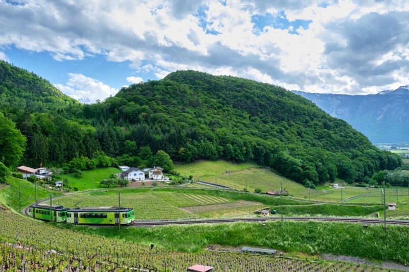 Train ASD - summer - Aigle