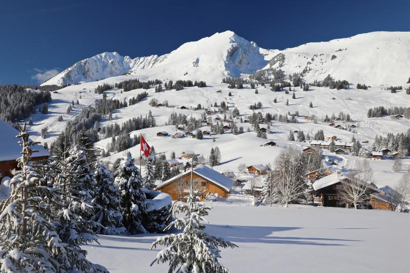 Landscape - winter - Les Mosses