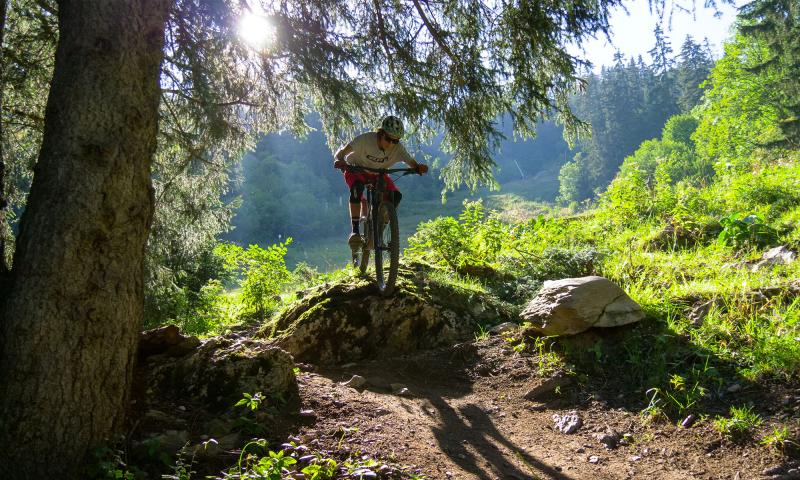 Downhill Bikepark forest - summer - Leysin