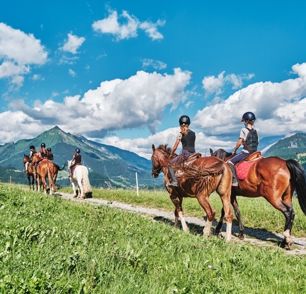 Reithof von Leysin