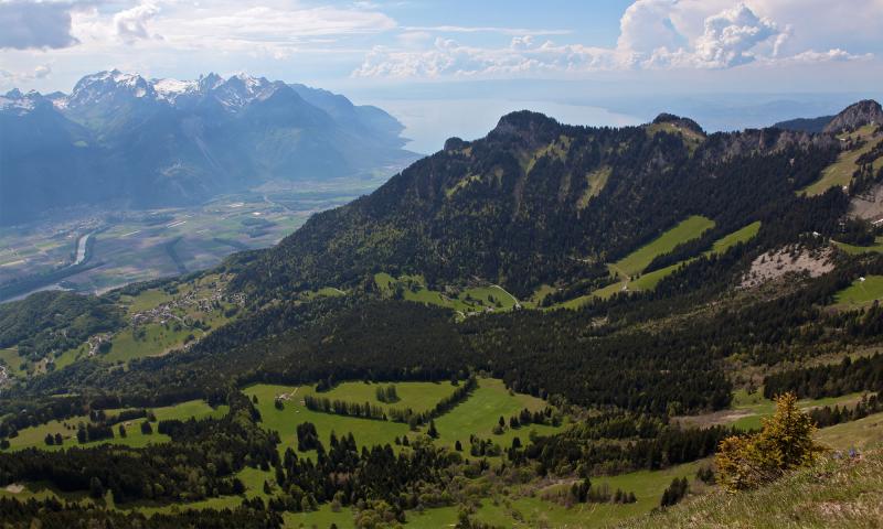 View from la Riondaz - summer - Leysin