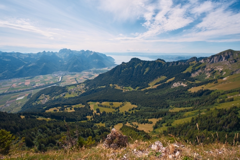 Vue depuis la Riondaz - Leysin - été