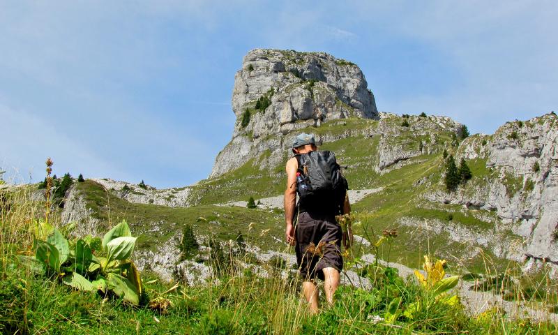 Tour de Famelon - summer - Leysin