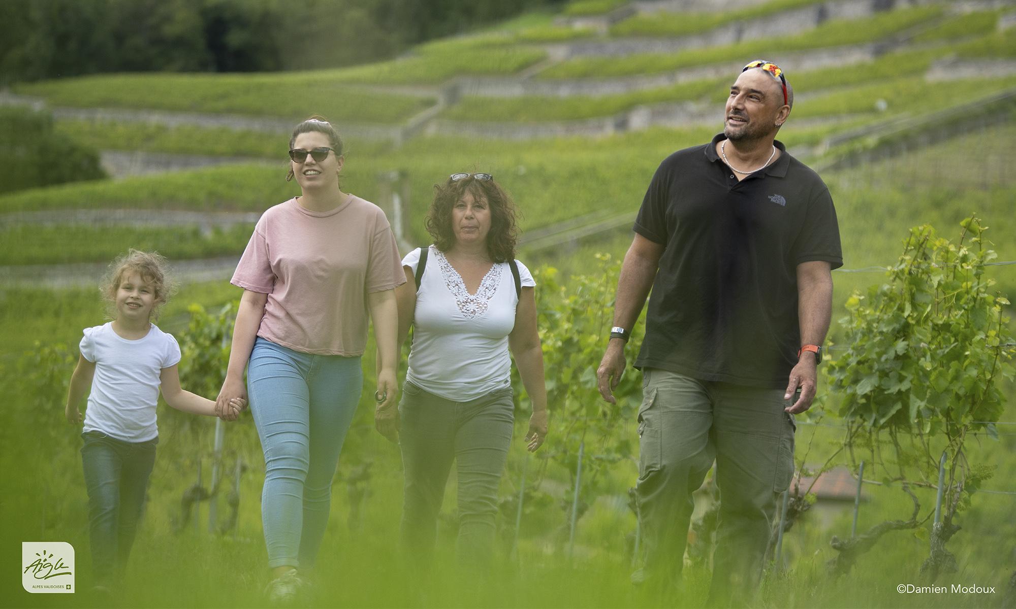 Vos vacances en photos - Vignes