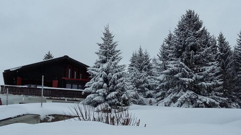 Chalet Chantilu - winter - Les Mosses