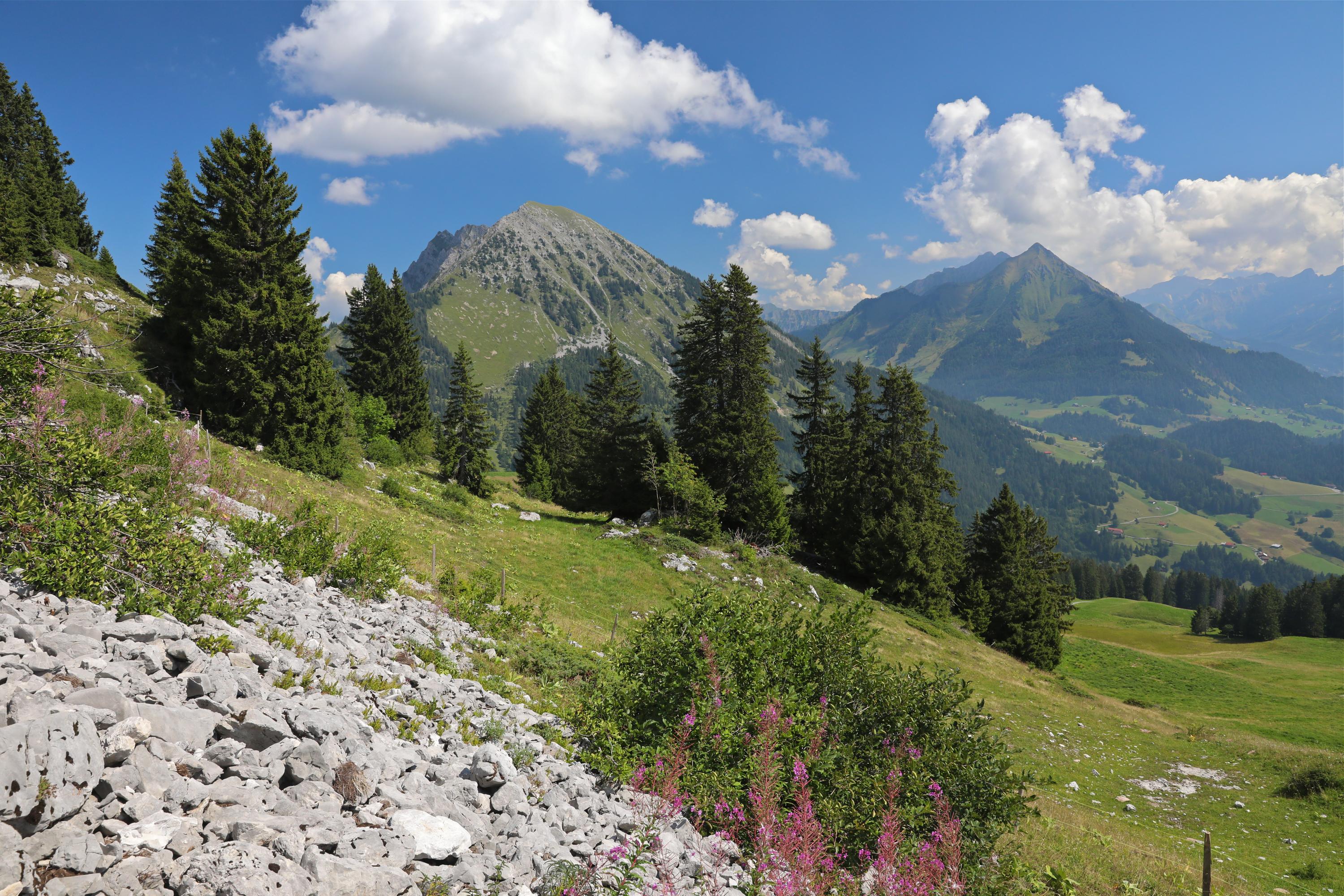 Things to do in Leysin