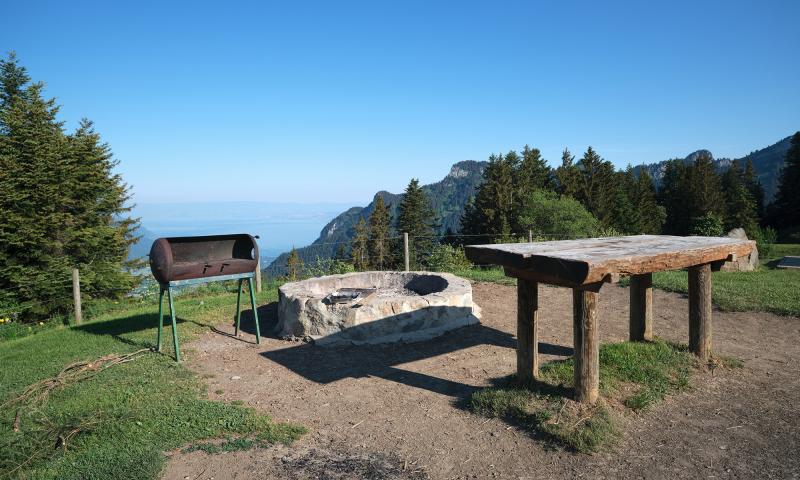 Prafandaz picnic area - summer - Leysin