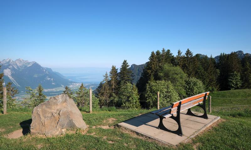 Prafandaz bench - summer - Leysin