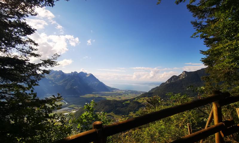 Nid d'Aigle view - summer - Leysin