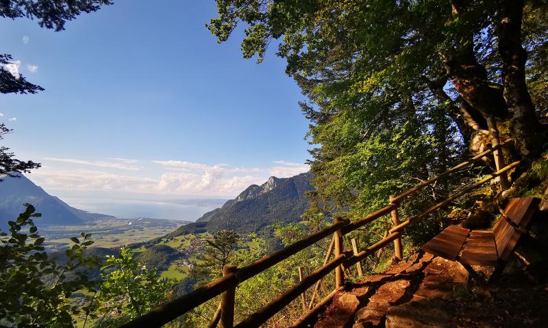 Nid d'Aigle view - summer - Leysin