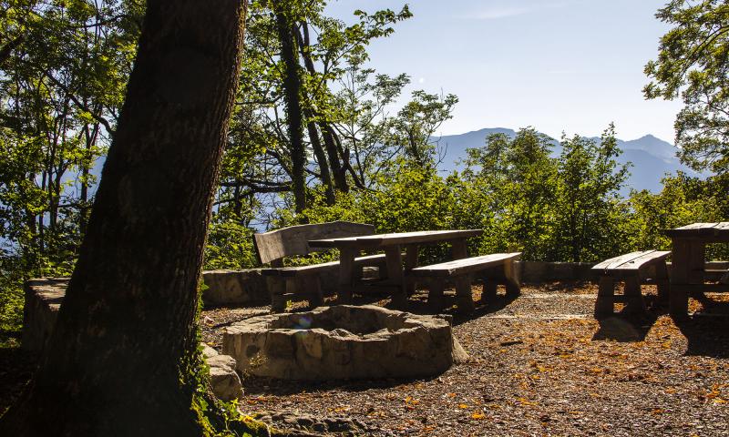 Roc de Veyges / picnic area - summer - Leysin