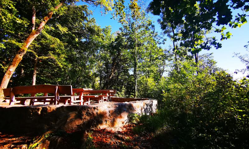 Roc de Veyges / picnic area - summer - Leysin