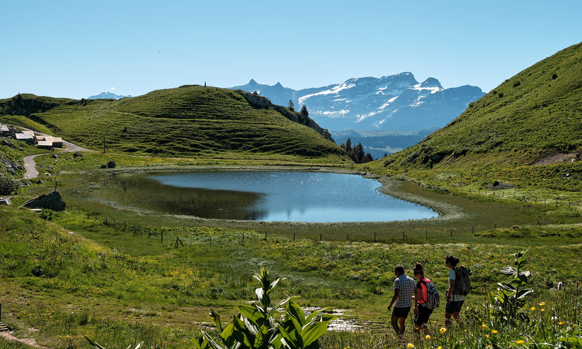 Lac d'Aï - été - Leysin