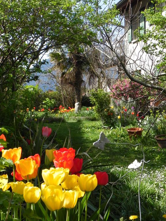 Studio Elément-Terre / garden - summer - Aigle