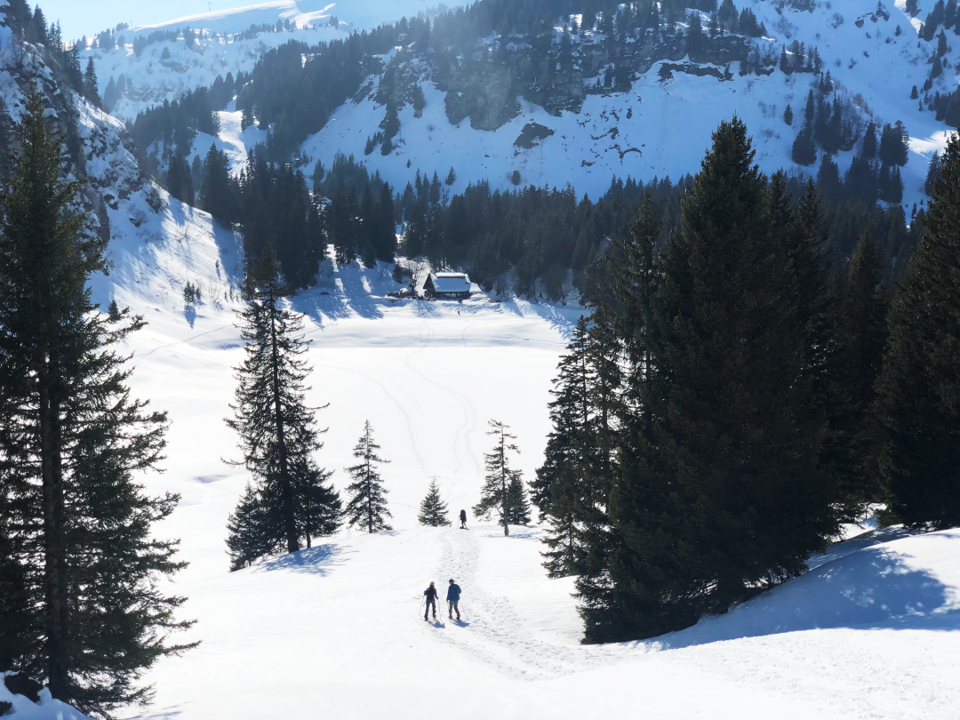 Lac des Chavonnes - hiver - Les Diablerets