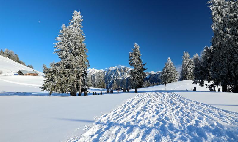 Prafandaz - winter - Leysin