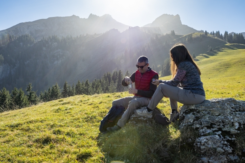 Paysage sentier Pra Cornet - été - Les Mosses