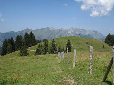 Paysage sentier Pra Cornet - été - Les Mosses