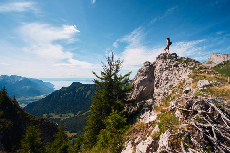 Riondaz avec gentiane et Dents-du-Midi - été - Leysin