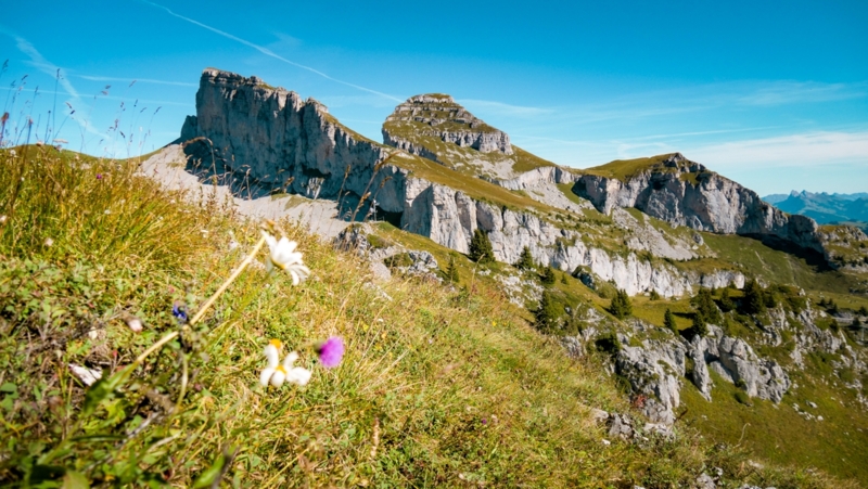 Tours of Aï and Mayen seen from la Berneuse - summer - Leysin