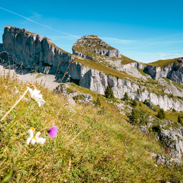 Le sentier des trois tours de Leysin | n°141