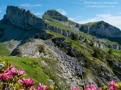 Tours of Aï and Mayen seen from la Berneuse - summer - Leysin