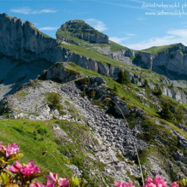 Flora und Blick am Géteillon - Nr. 7