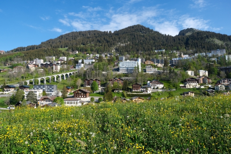 Leysin - summer