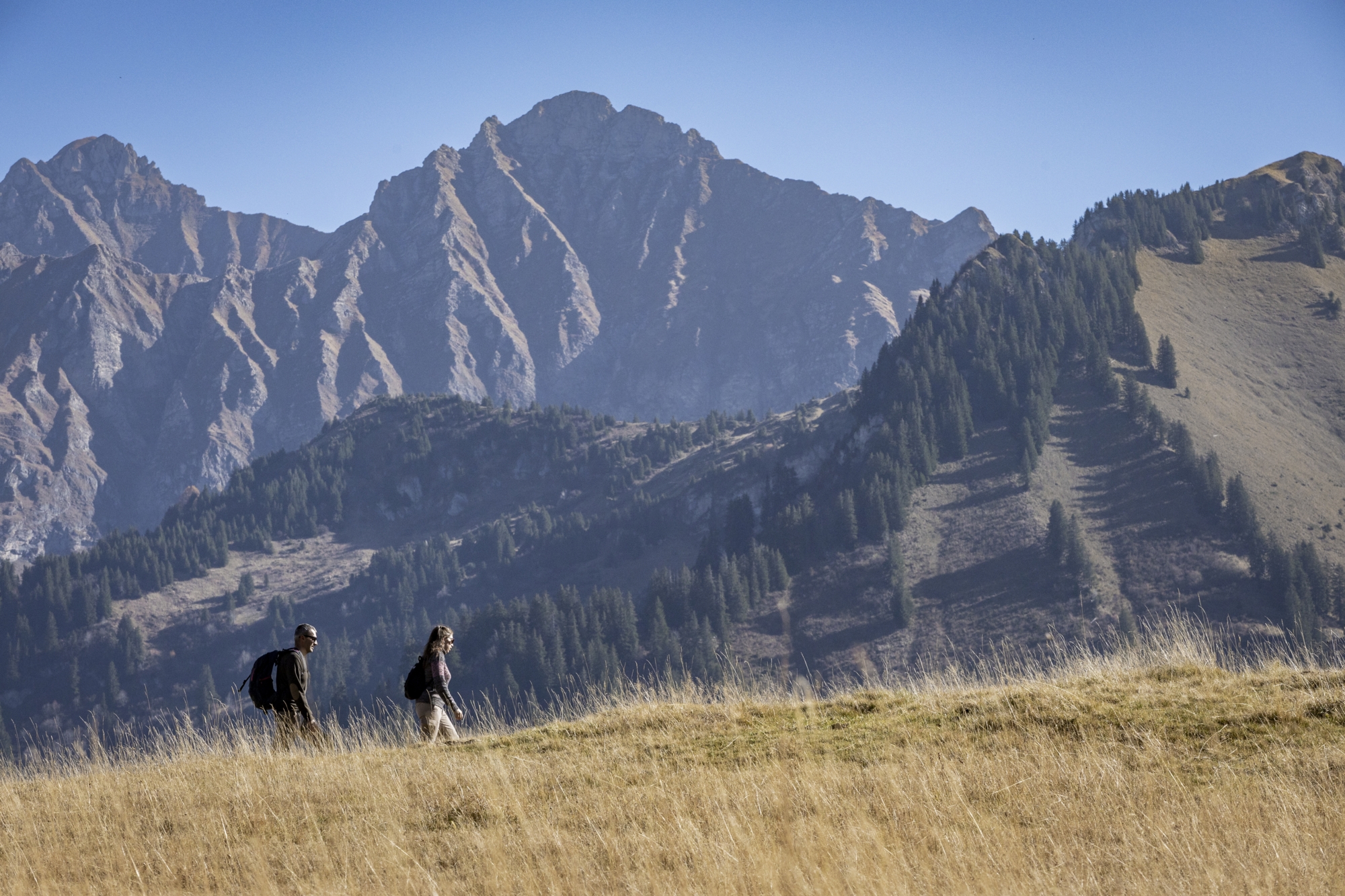 Visualps - Florian Legrand