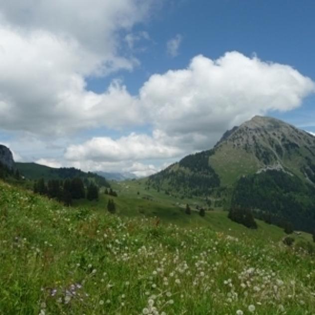 Sommet du Mont d'Or